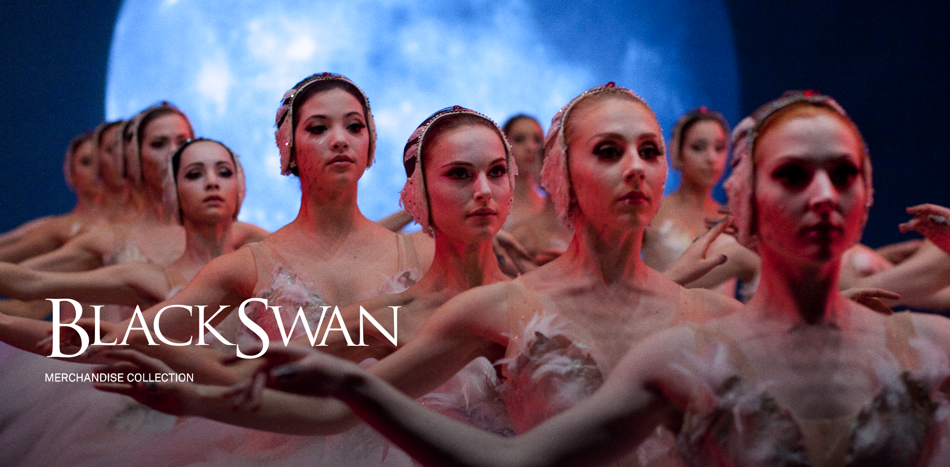 Black Swan image #1